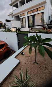 Cosy Apartment near the beach