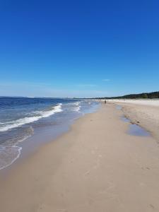 Villa Adler- Waldseite