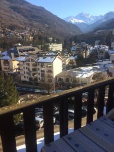Appartements Central studio ideal for hikers or skiers : Appartement 1 Chambre