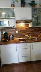 Apartman LEO Nr. 8 Lipno nad Vltavou