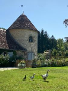 B&B / Chambres d'hotes Le Colombier de Malpas : photos des chambres