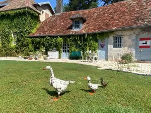 L’Orangerie de Malpas - Buffard