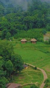 Daelorpu 2 แดลอปู