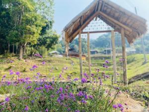 Daelorpu 2 แดลอปู