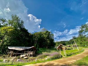 Daelorpu 1 แดลอปู