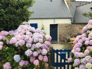 Maisons de vacances Charmante maison de pecheurs : photos des chambres