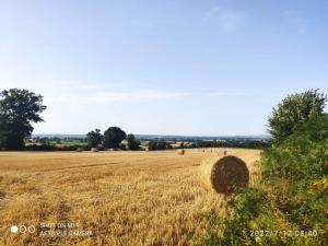 Villas Lingramiere Rose Cottage : photos des chambres