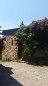 Maisons d'hotes Villa Arca : photos des chambres