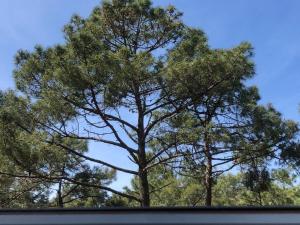 Villa Clade: Chaleureuse et agréable maison de plage