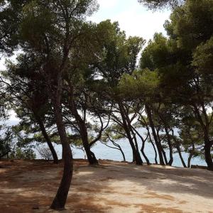 Maisons de vacances La Med : photos des chambres
