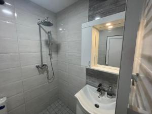Apartman Zec Beli Sokobanja