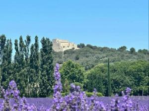 Maisons de vacances En campagne, proche de L'Isle-sur-la-Sorgue : photos des chambres