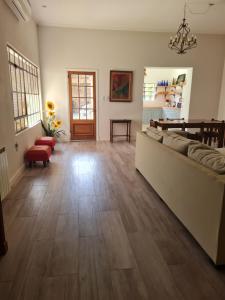 Lechuza del Campanario