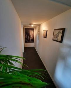 Appartements Zenith : photos des chambres