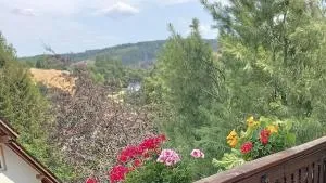 Ferienwohnung Hey - Liebenstein