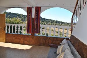 Ferme Dar Aicha green Bellouta