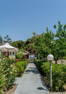 Vicky Studios and Apartments