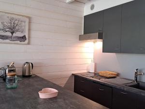 Superbe duplex rénové au pied des pistes avec terrasse - FR-1-165A-179