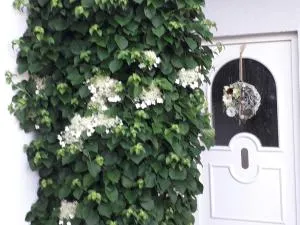 Ferienwohnung Gogelhopf EG - Pfahlheim