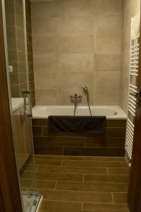 Central Prague Vítkov - free parking