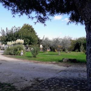 Sejours chez l'habitant Agreable studio pres de st Remy de Provence : photos des chambres