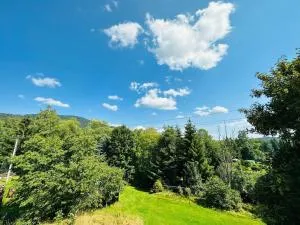 Apartmán pod Boubínem - Račí