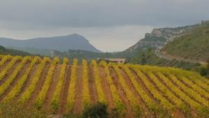 Appartements Gite dans ancienne bergerie en pleine garrigue : photos des chambres