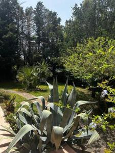 Tranquillo appartamento immerso nel verde