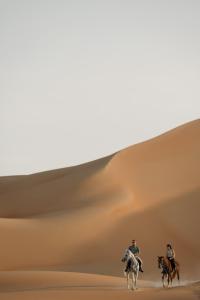 1 Qasr Al Sarab Road,  Abu Dhabi, United Arab Emirates.