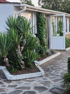 Guest House Maria
