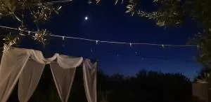 Countryhouse gli ulivi - Bitritto