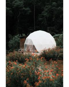 Amoss Farmstay