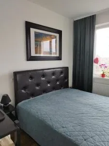 Private Flat in Mazeikiai centre - Mažeikiai