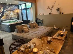 Alter Ego - Séjour - Frasnes-lez-Anvaing