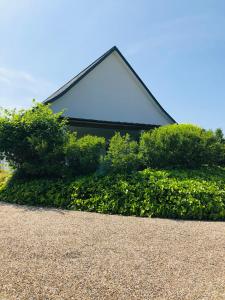 Appartements Bel Air Studios-Terrasse couverte-Jardinet-Vue Pont de Normandie-Parking prive : photos des chambres