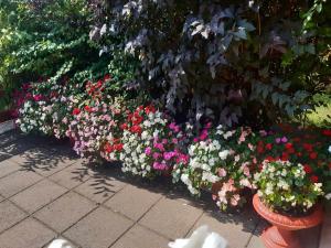 Gyöngyvirág Apartment