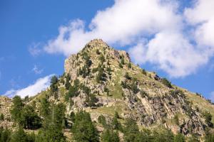 SOWELL HOTELS Le Pas du Loup : photos des chambres