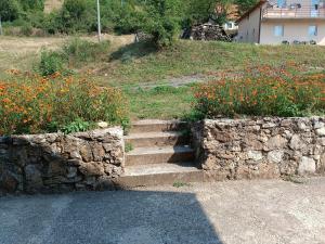 Apartment Pantovic