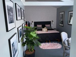 B&B / Chambres d'hotes Parker et Tammy : photos des chambres