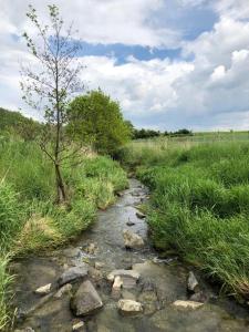 Ferienwohnung auf dem Maifeld
