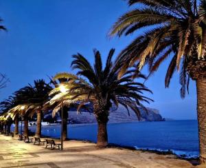 Luxury apartment at Baia da Luz