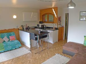 Studio lumineux pour 4 pers, animaux admis, wifi inclus, au centre de Samoëns - FR-1-629-120