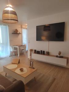 Appartements T2 balneotherapie, jardin, parking, tram, boulodrome : photos des chambres