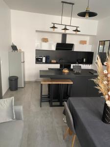 Appartements Le Merrain gite plein coeur de Chablis : photos des chambres