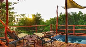 Chole Mjini Treehouses Lodge