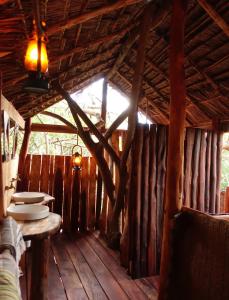 Chole Mjini Treehouses Lodge