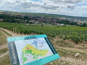 Appartements Le Merrain gite plein coeur de Chablis : photos des chambres