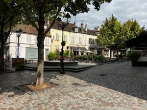 Appartements Studio cosy a Melun - Charme : photos des chambres