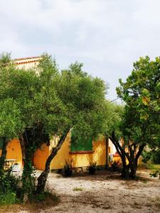 Maisons de vacances Les oliviers : photos des chambres