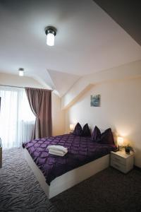 Pensiunea Conacul lui Horia